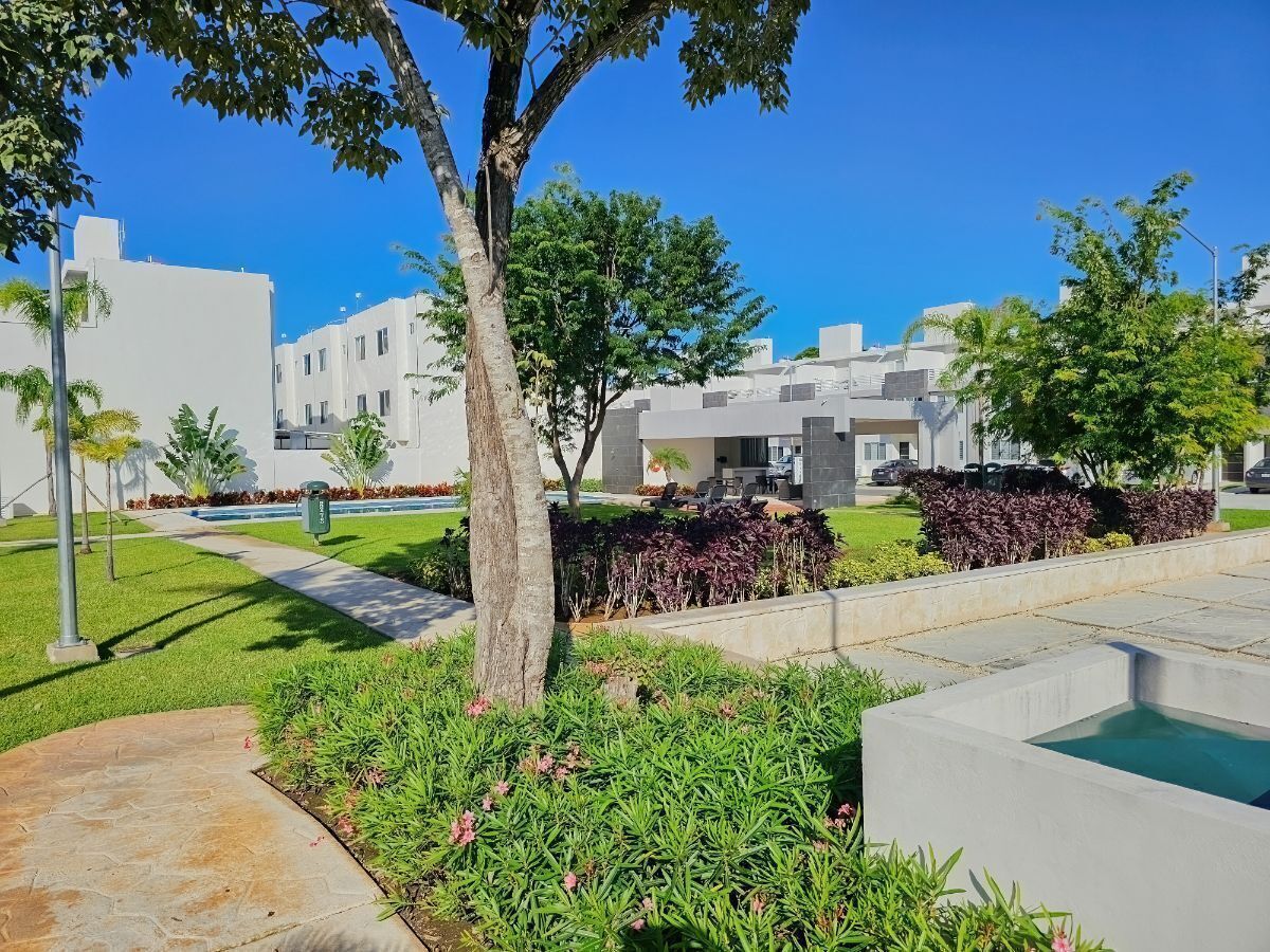 15 de 25: Amenidades