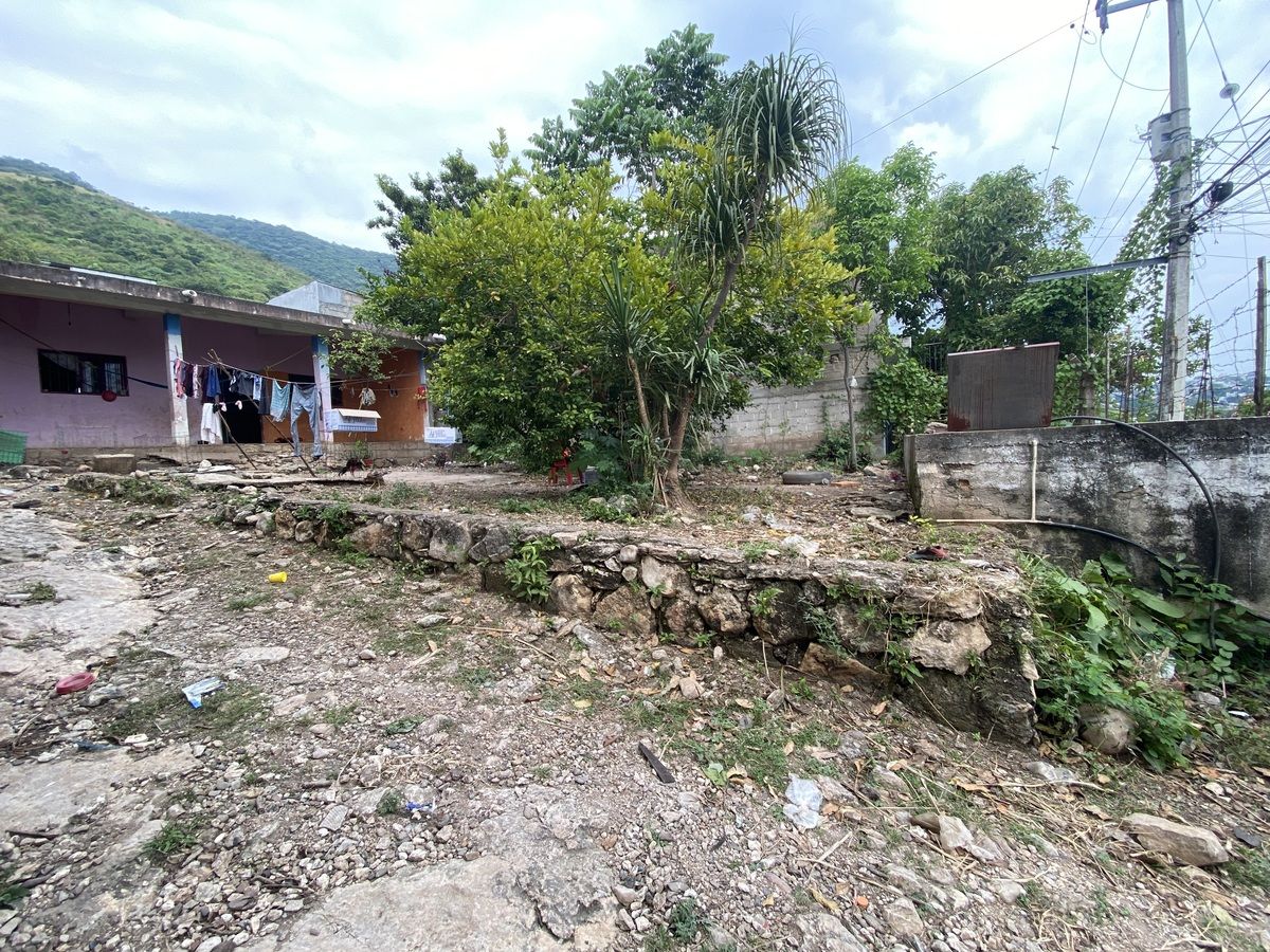 Imagen 4 de 6