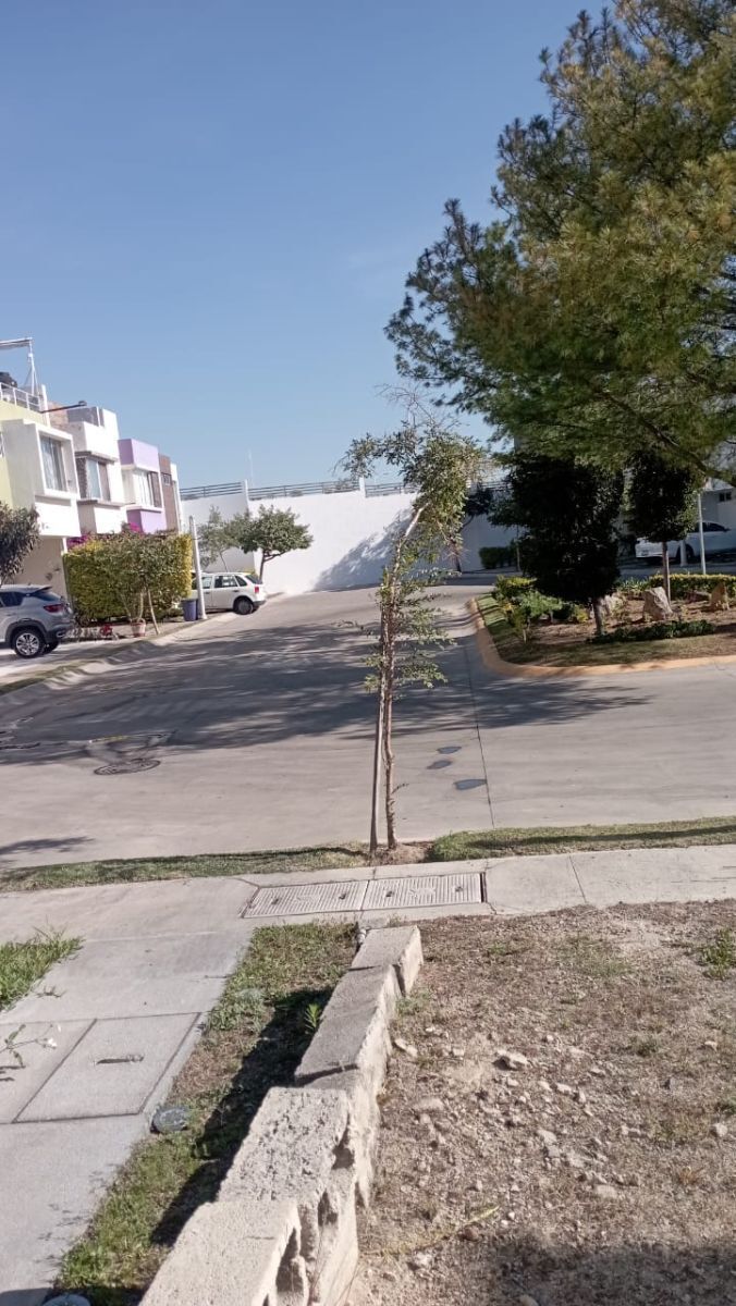 2 de 17