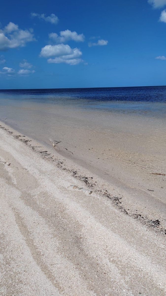 1 de 13: Golfo de México