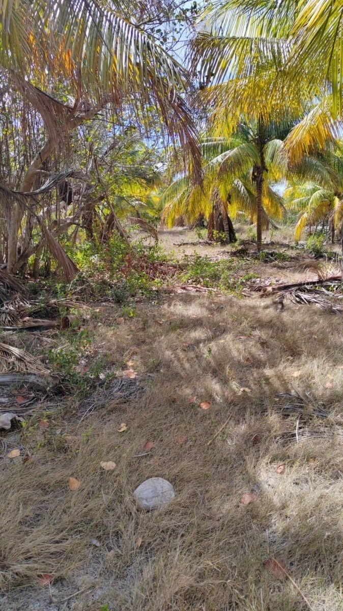 4 de 13: Terreno
