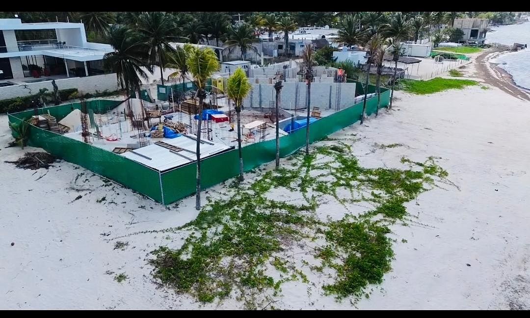 AVANCE 2026, foto 8 de 16