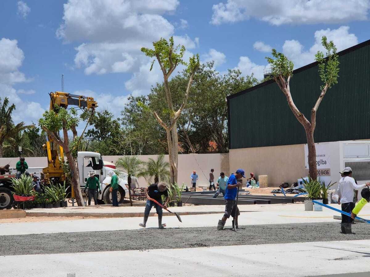 3 de 14
