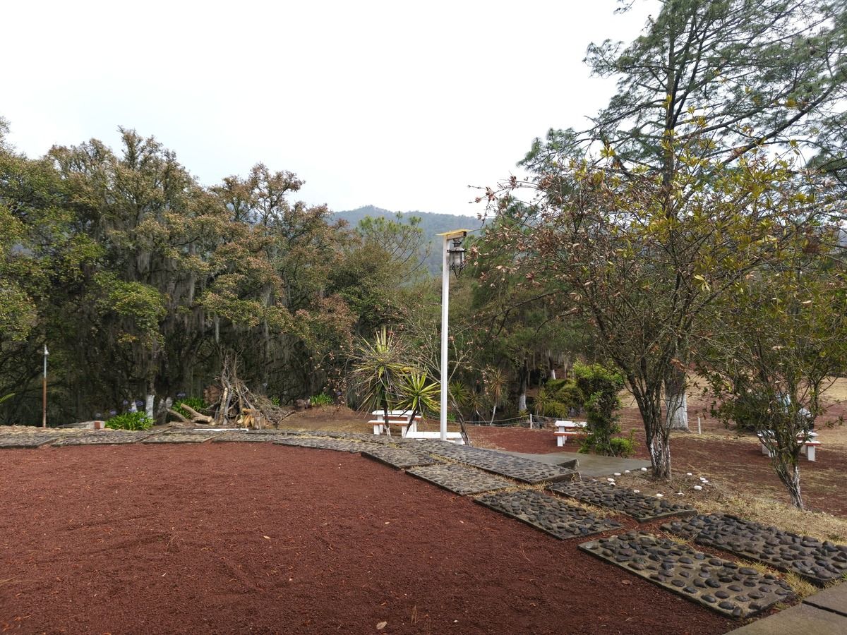 Imagen 2 de 10