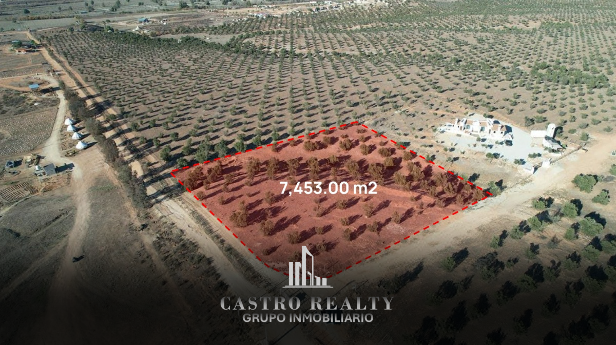 Terreno venta Valle de Guadalupe, Ensenada.Cerca de ,El Sauzal