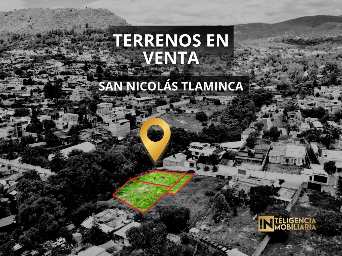 Imagen 5 de 10