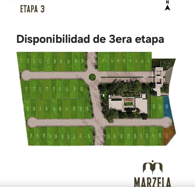 3 de 11
