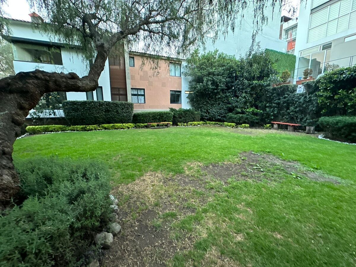 28 de 33