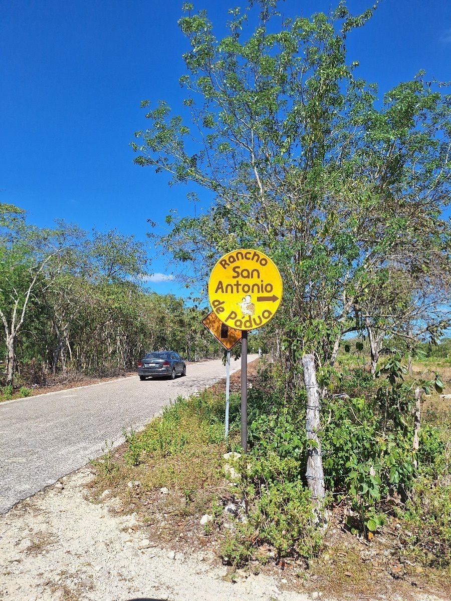 Imagen de propiedad