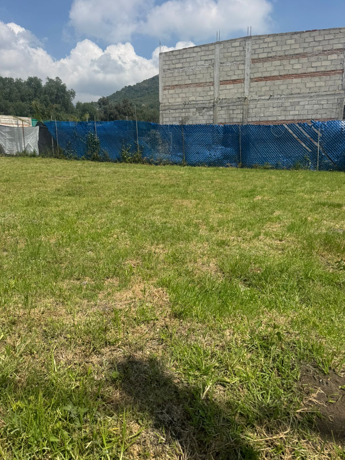 4 de 16