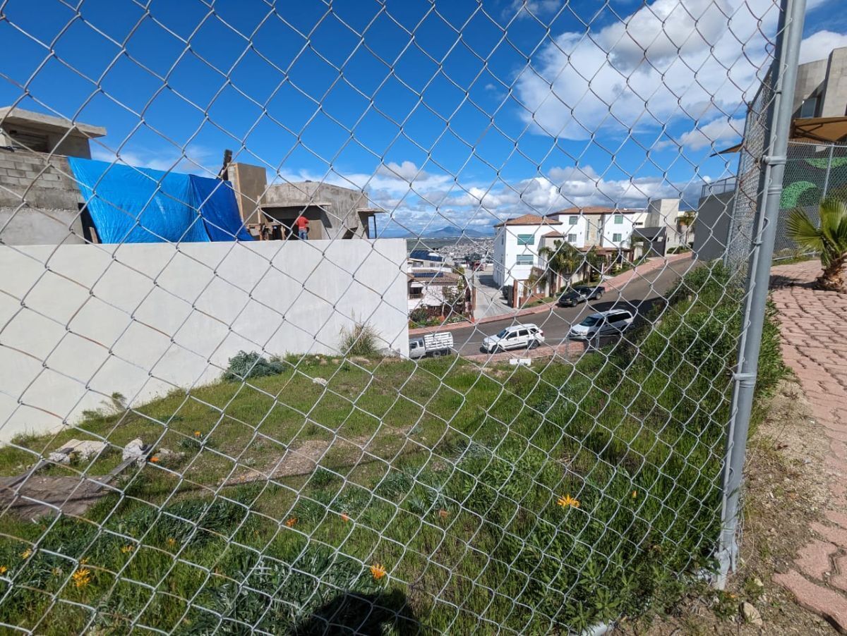 5 de 8