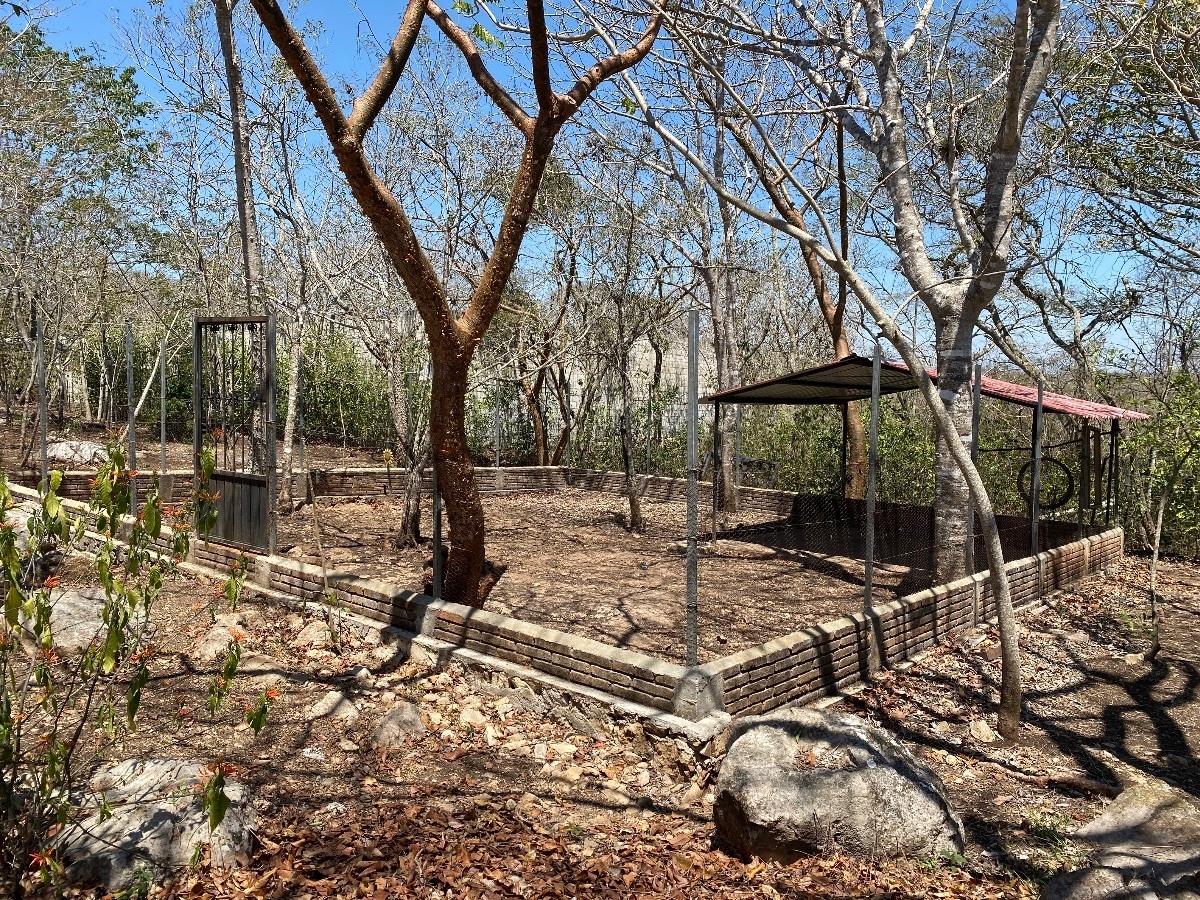 23 of 25: Area cercada para cuidar animales