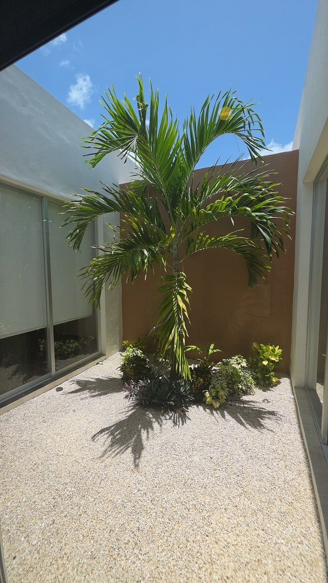 House in Gated Community in Temozón Norte, Mérida, photo 14 of 15