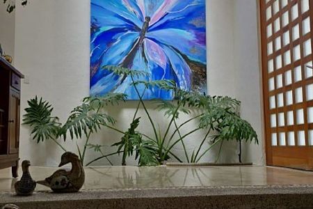 Vista Real Op