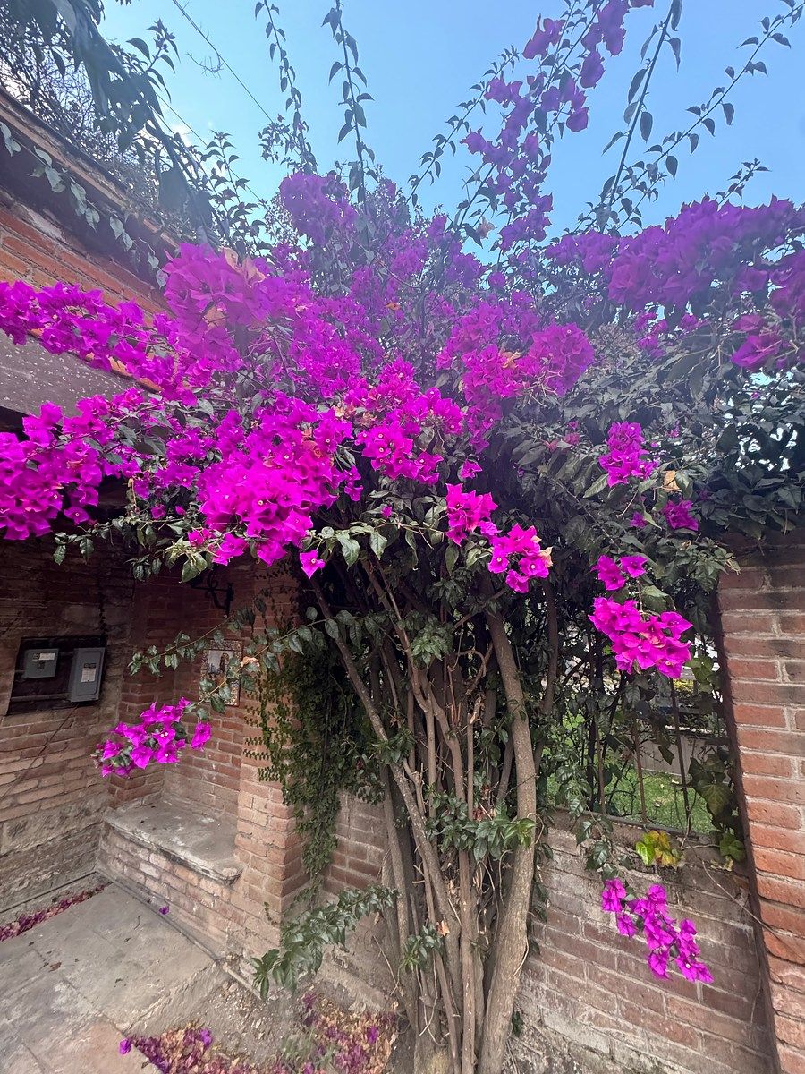 Casa en Las Arboledas, Atizapán de Zaragoza, foto 7 de 52