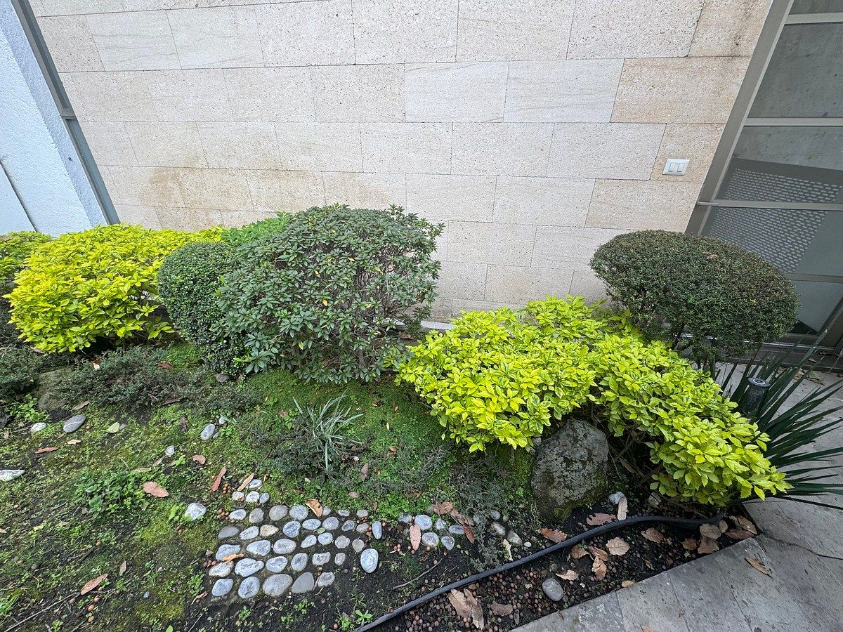 Casa en Las Arboledas, Atizapán de Zaragoza, foto 45 de 52