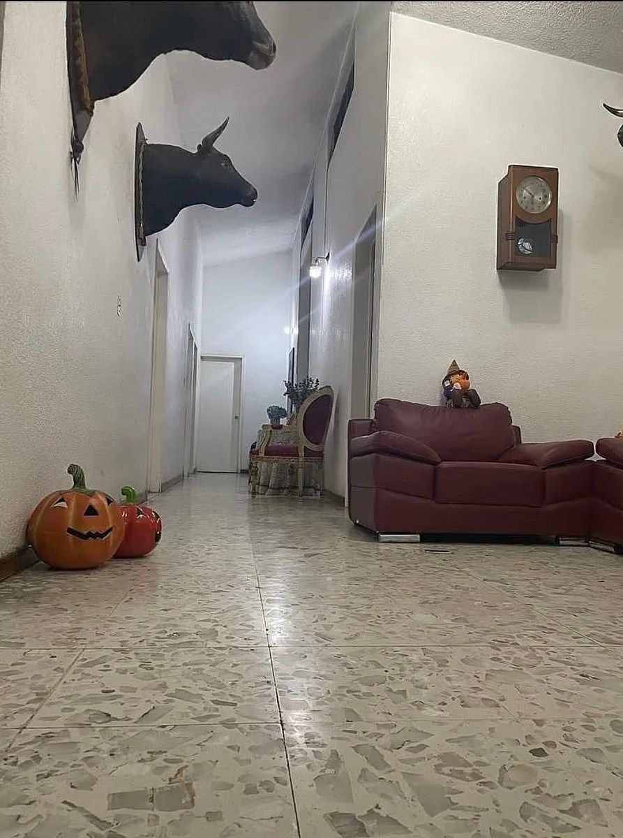 Casa en Las Arboledas, Atizapán de Zaragoza, foto 47 de 52