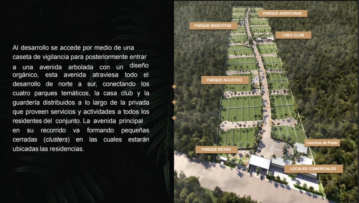 14 de 17