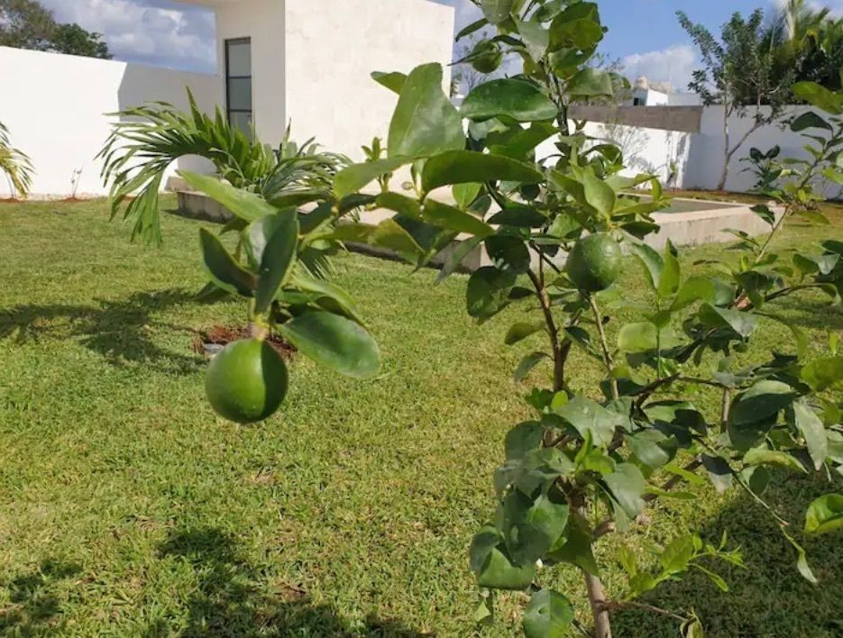 House in San Antonio Hool, Mérida, photo 12 of 12