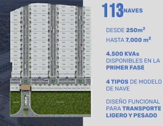 1 de 7