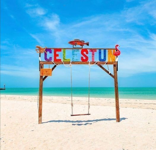 6 de 19: Columpio Celestún Playa Pata