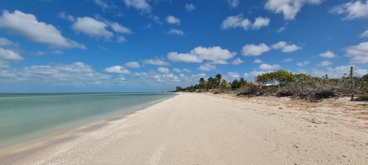 7 de 19: Vista de la Playa 1