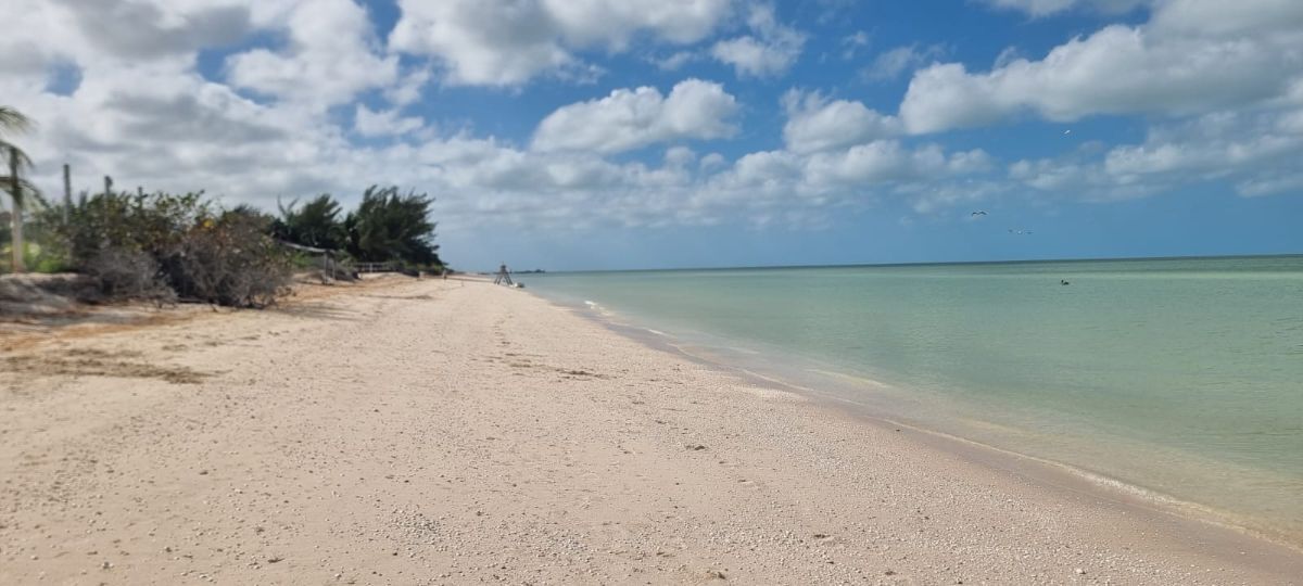 8 de 19: Vista de la Playa 2