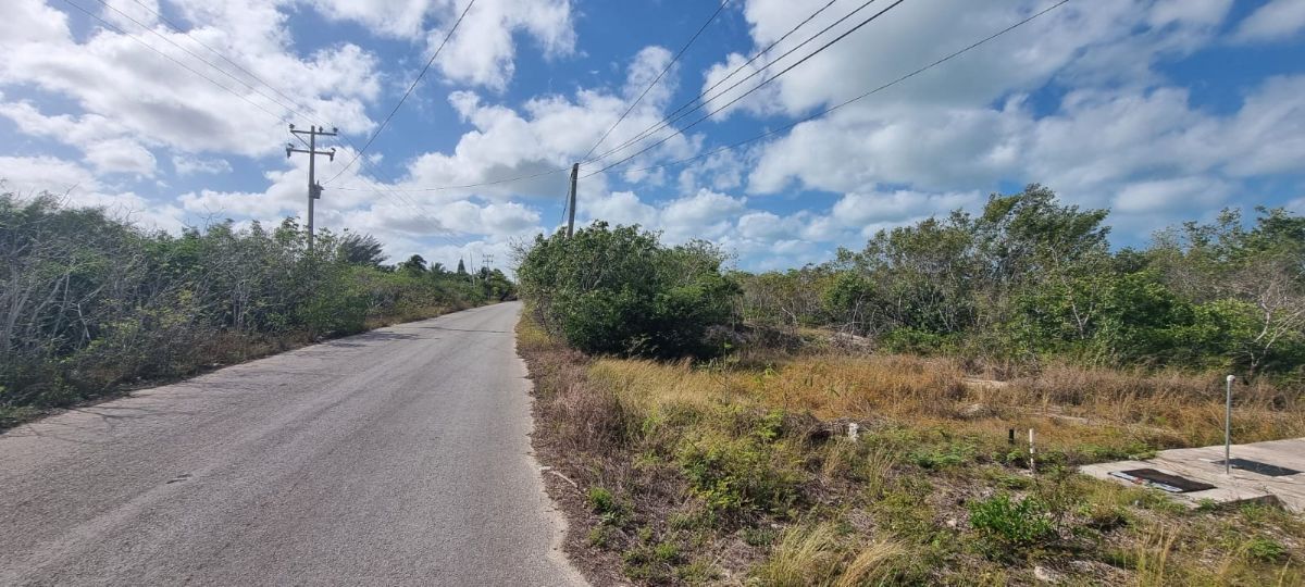 9 de 19: Vista hacía la calle