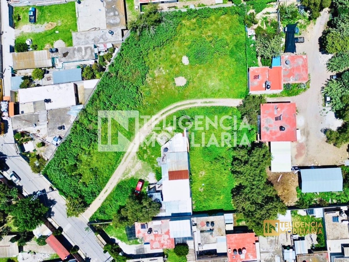 Imagen 8 de 10
