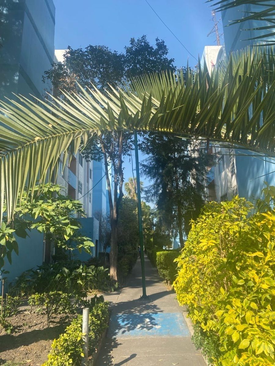 1 de 11