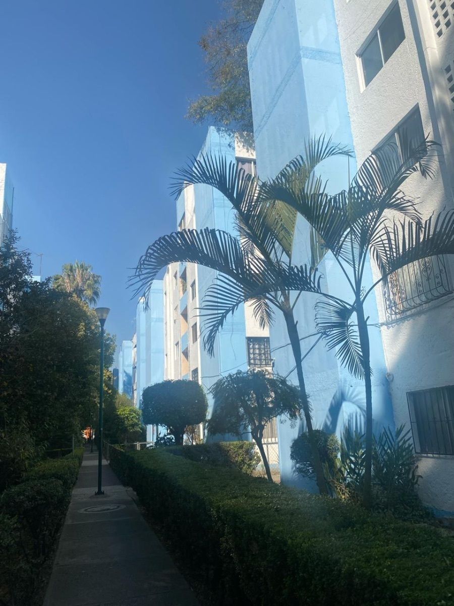 2 de 11