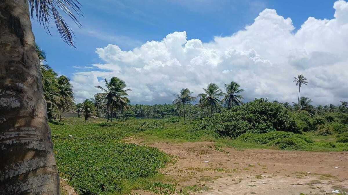 Terrenos en Venta uvero alto, La Altagracia