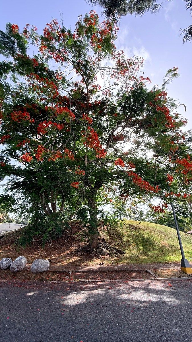 🏡Casa con patio📍 próximo al Botánico🌳, foto 1 de 26