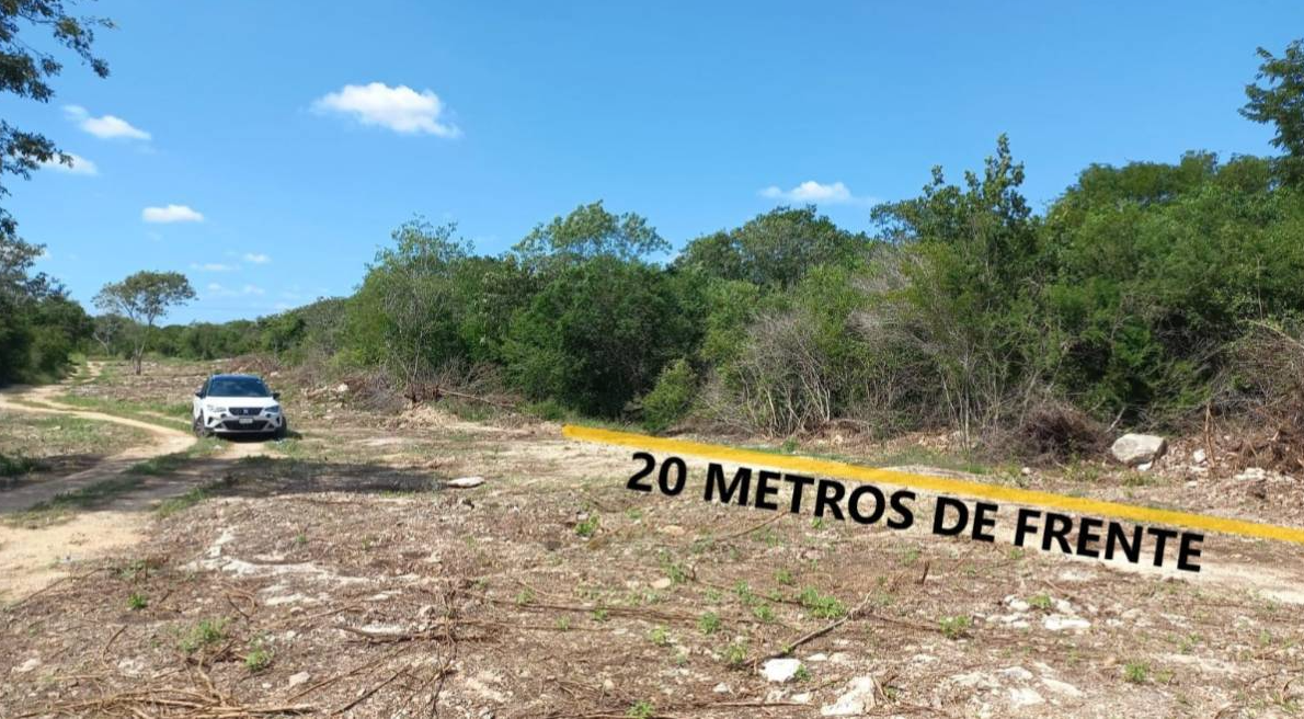 5 de 10