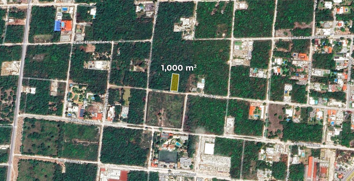 Terreno Habitacional en Álamos 2
