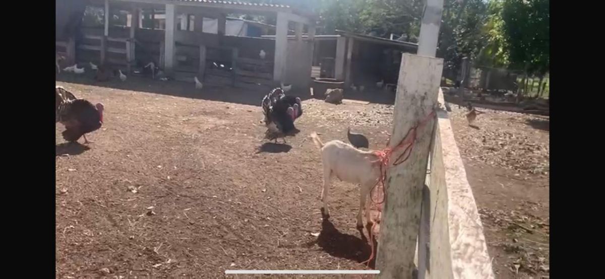 -