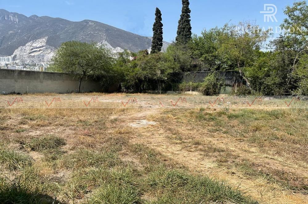 https://assets.easybroker.com/property_images/4363454/72774609/EB-PT3454.jpg?version=1710461685