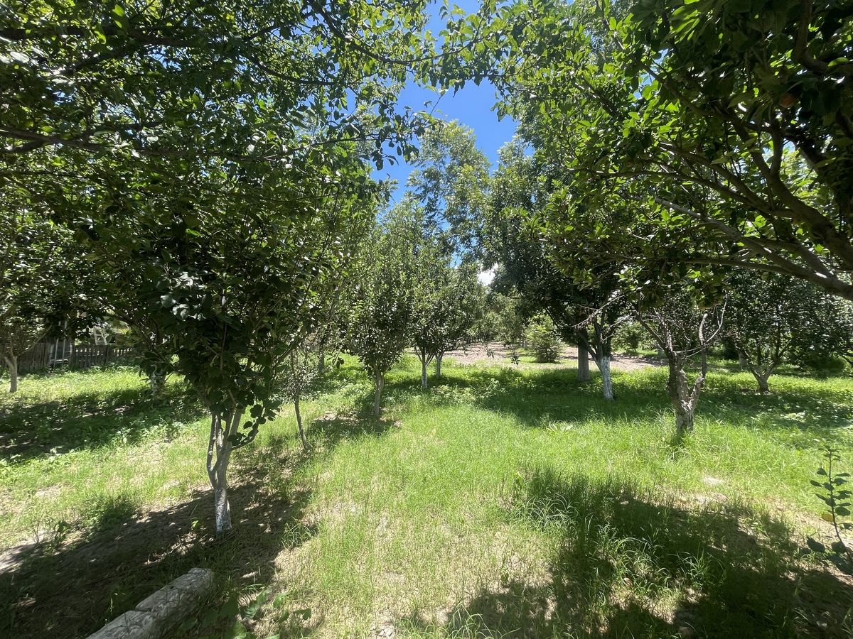 Terrenos Campestres en Venta cercano a Corredor Mezquital