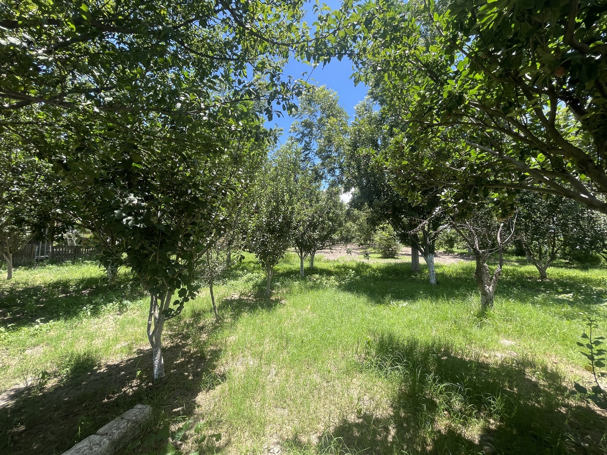 1 de 6