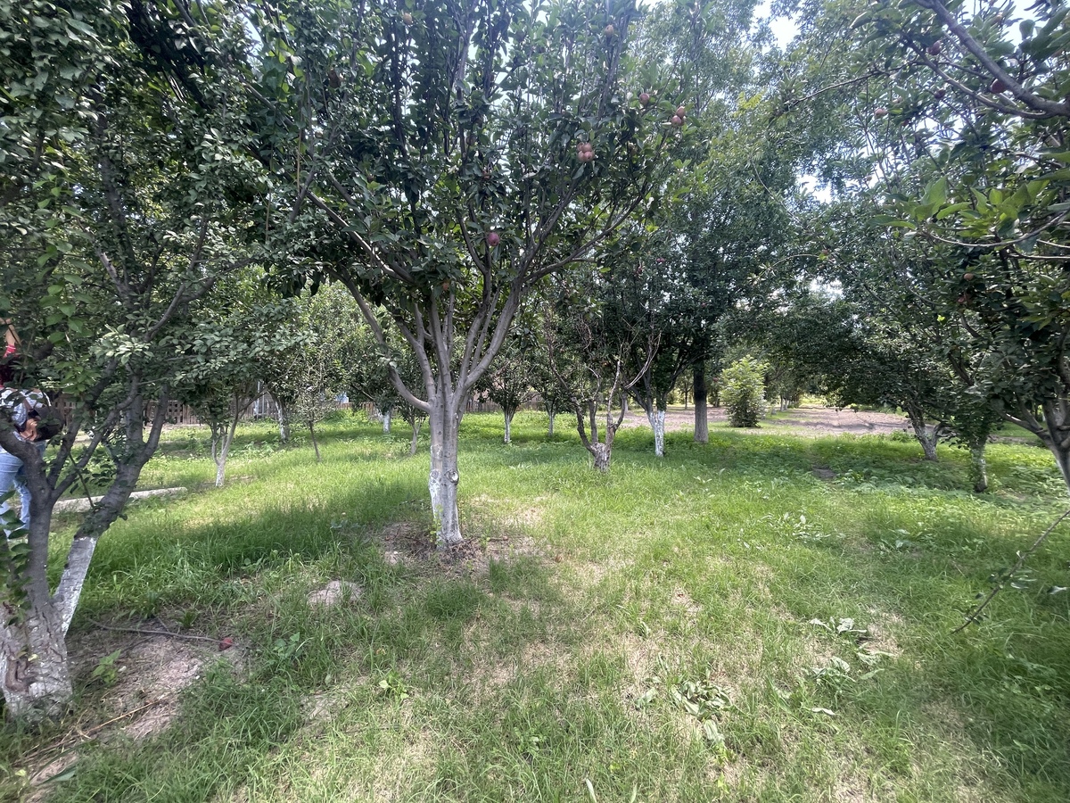 5 de 6