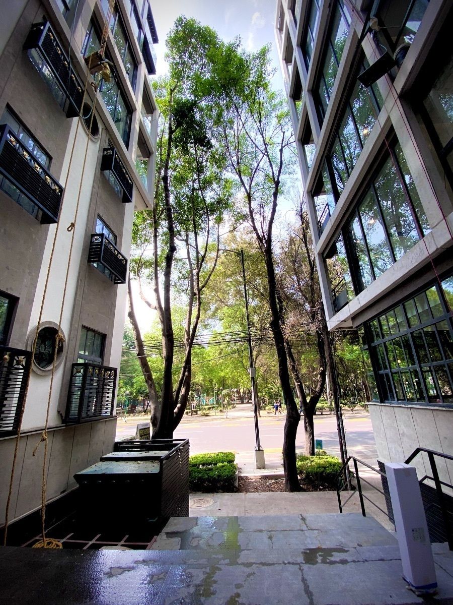 3 de 30: Vista desde el lobby