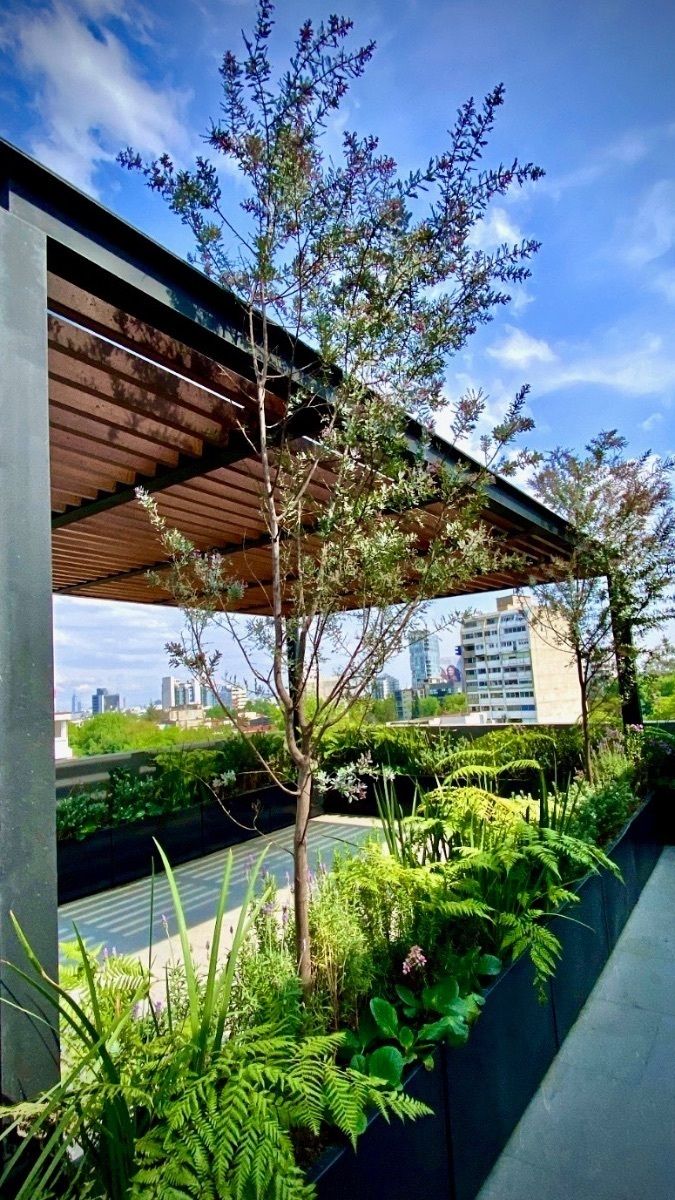 29 de 30: Asadores del roof garden