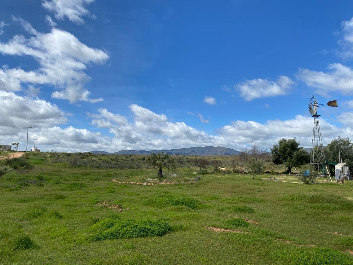 1 Hectárea en la Mejor Ubicación de Valle de Guadalupe, Ensenada