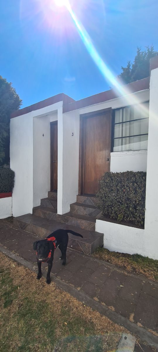 Cabaña