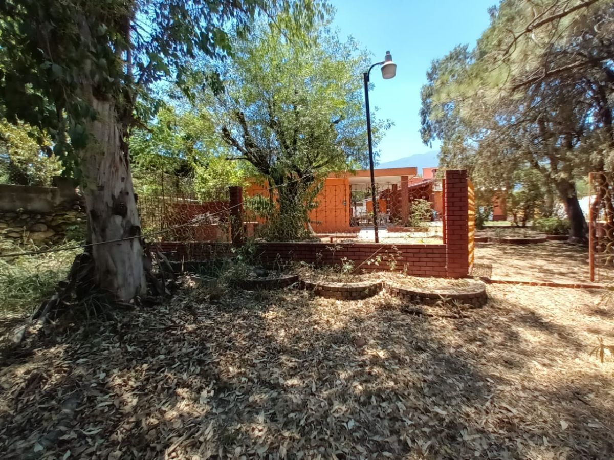 3 de 8