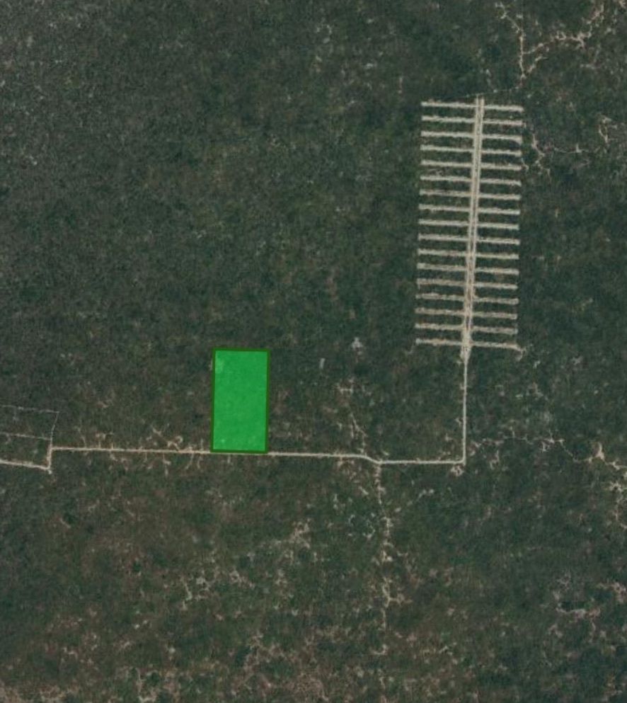 7 has en Sierra Papacal OPORTUNIDAD - foto 1