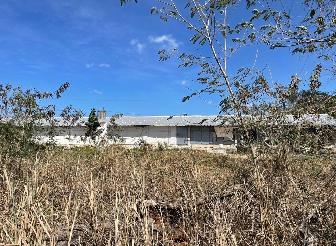 TERRENO VENTA MERIDA DE 4 HAS EN CARRETERA UMÁN - foto 1