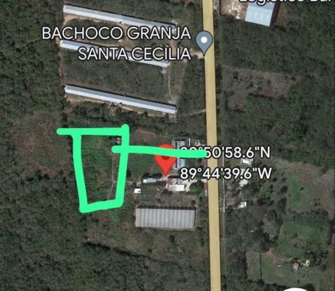 TERRENO VENTA MERIDA DE 4 HAS EN CARRETERA UMÁN - foto 2