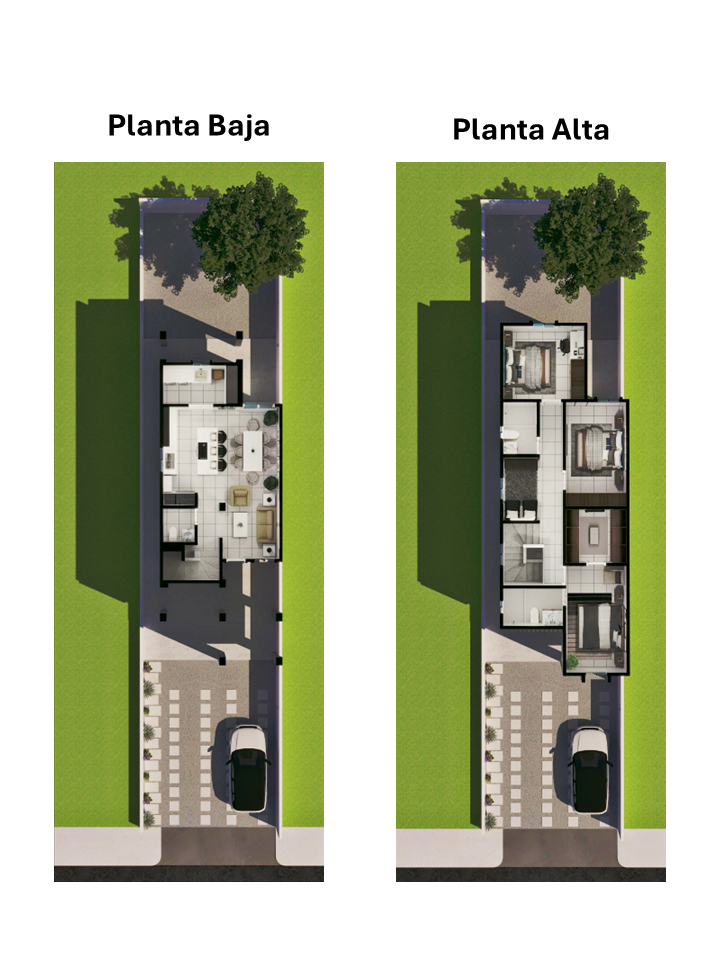 20 de 22: Plantas arquitectónicas