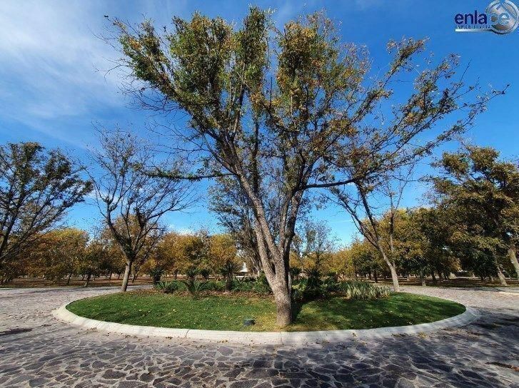 Lote em Haciendas del Campestre, Durango, foto 2 de 11